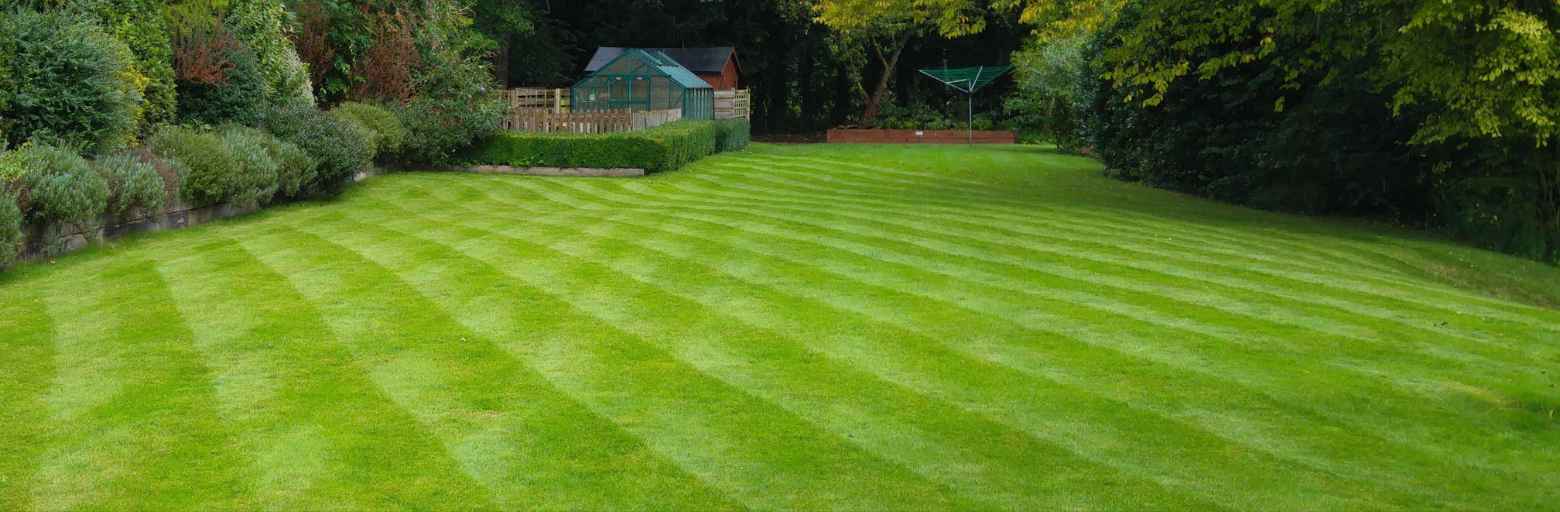 Lawn